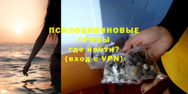 прущие грибы Гусь-Хрустальный