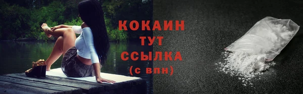 spice Елизово