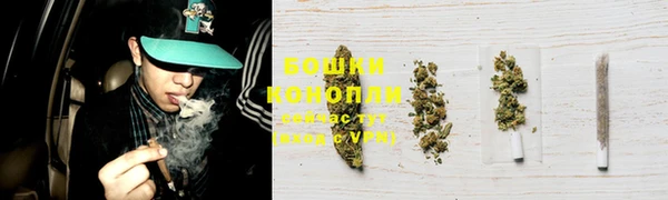 бутират Дмитриев
