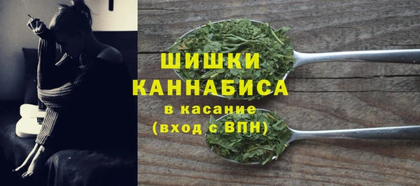 прущие грибы Гусь-Хрустальный