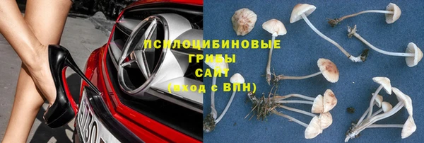 прущие грибы Гусь-Хрустальный