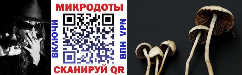 Псилоцибиновые грибы GOLDEN TEACHER  Купить  Красный Холм 